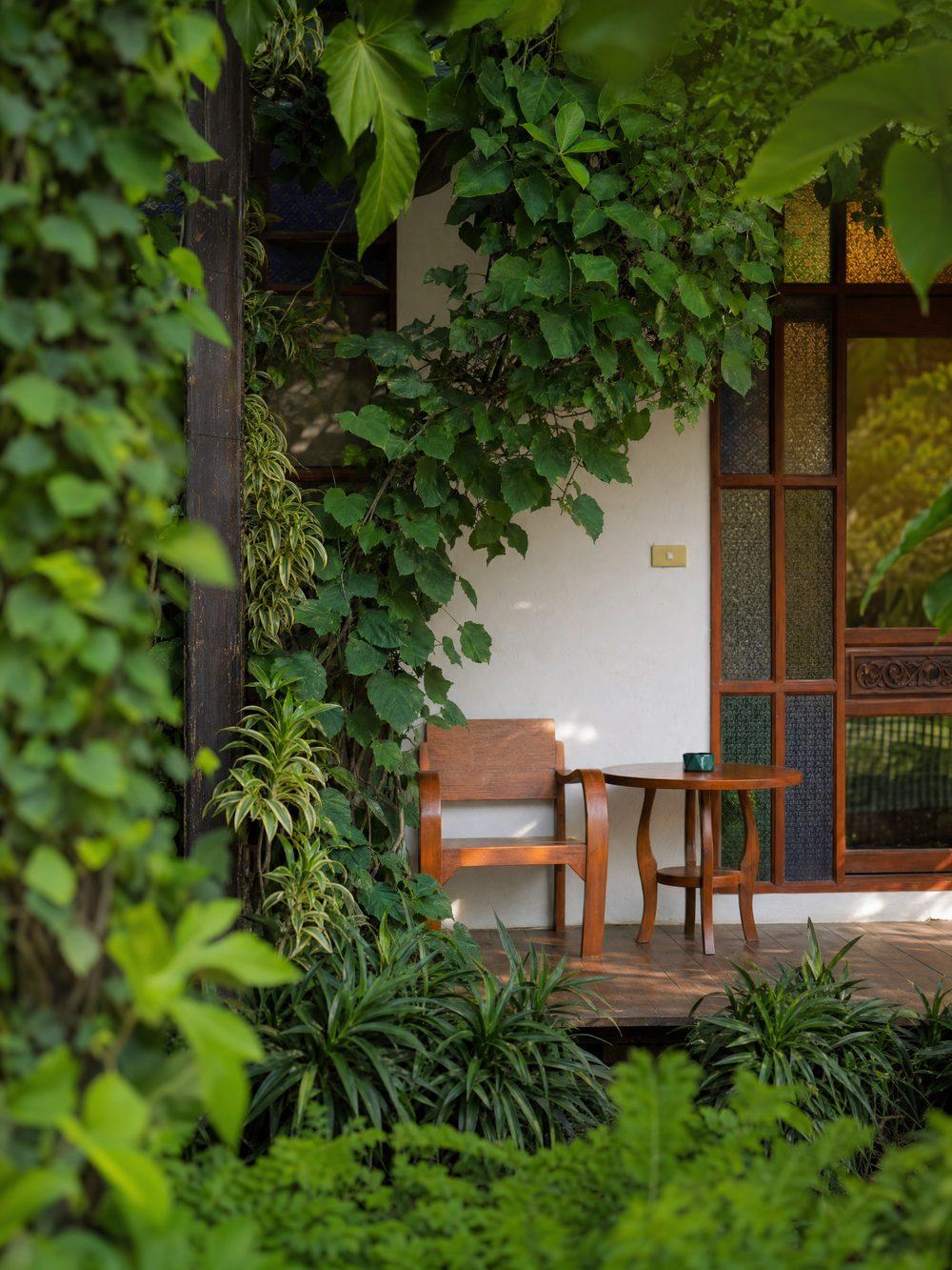 Outdoor seating through tropical vines at Jintara Rehab garden in Chiang Mai