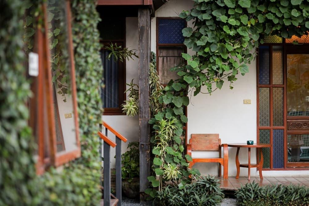 Vine-covered porch with wooden chair at Jintara Rehab accommodation in Chiang Mai