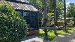 Quiet garden pavilion and palm grounds at Jintara Rehab Chiang Mai Thailand