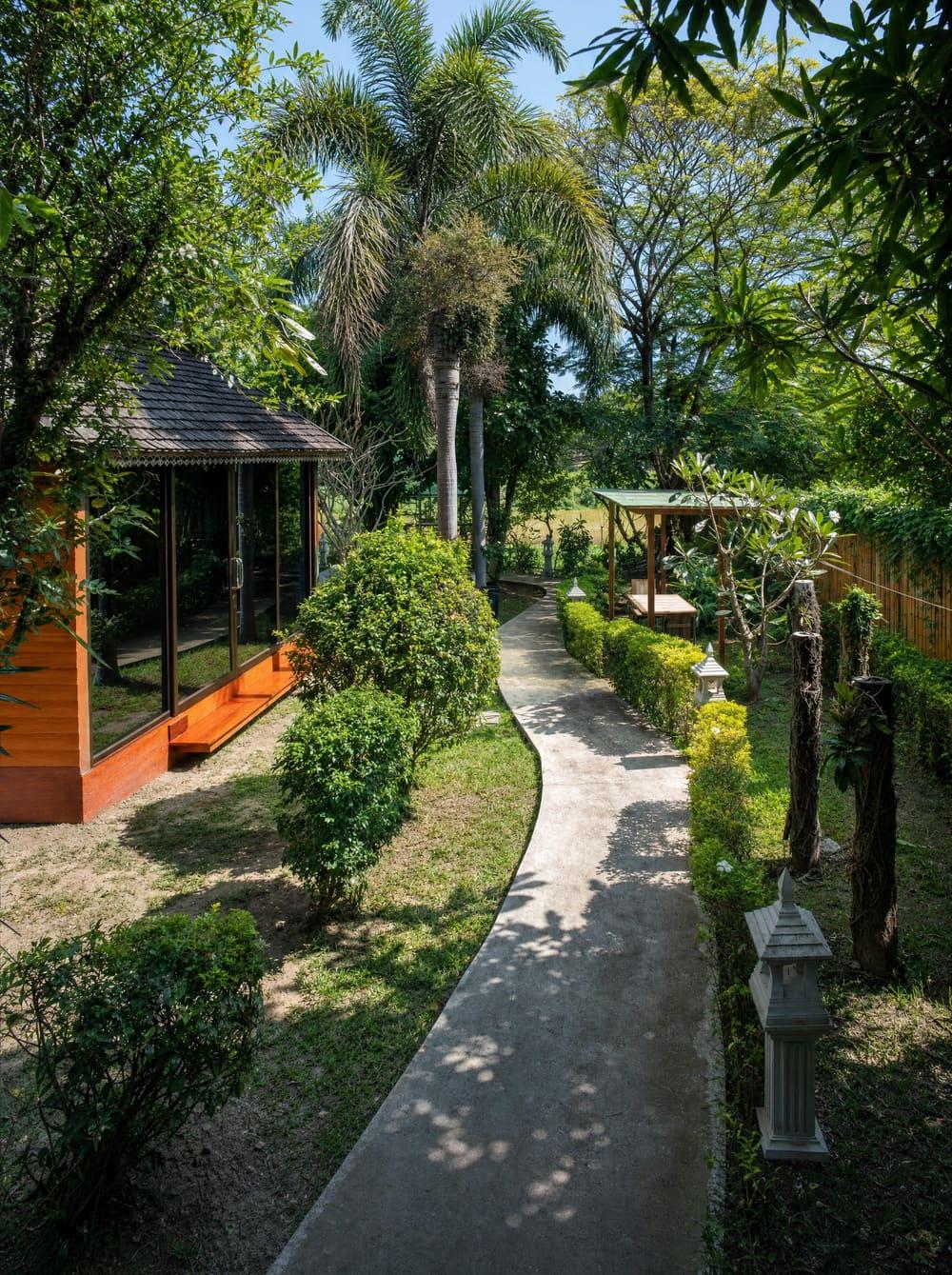 Curved garden path beside a glass-wall wooden pavilion at Jintara Rehab Chiang Mai with frangipani trees and trimmed hedges in bright daylight