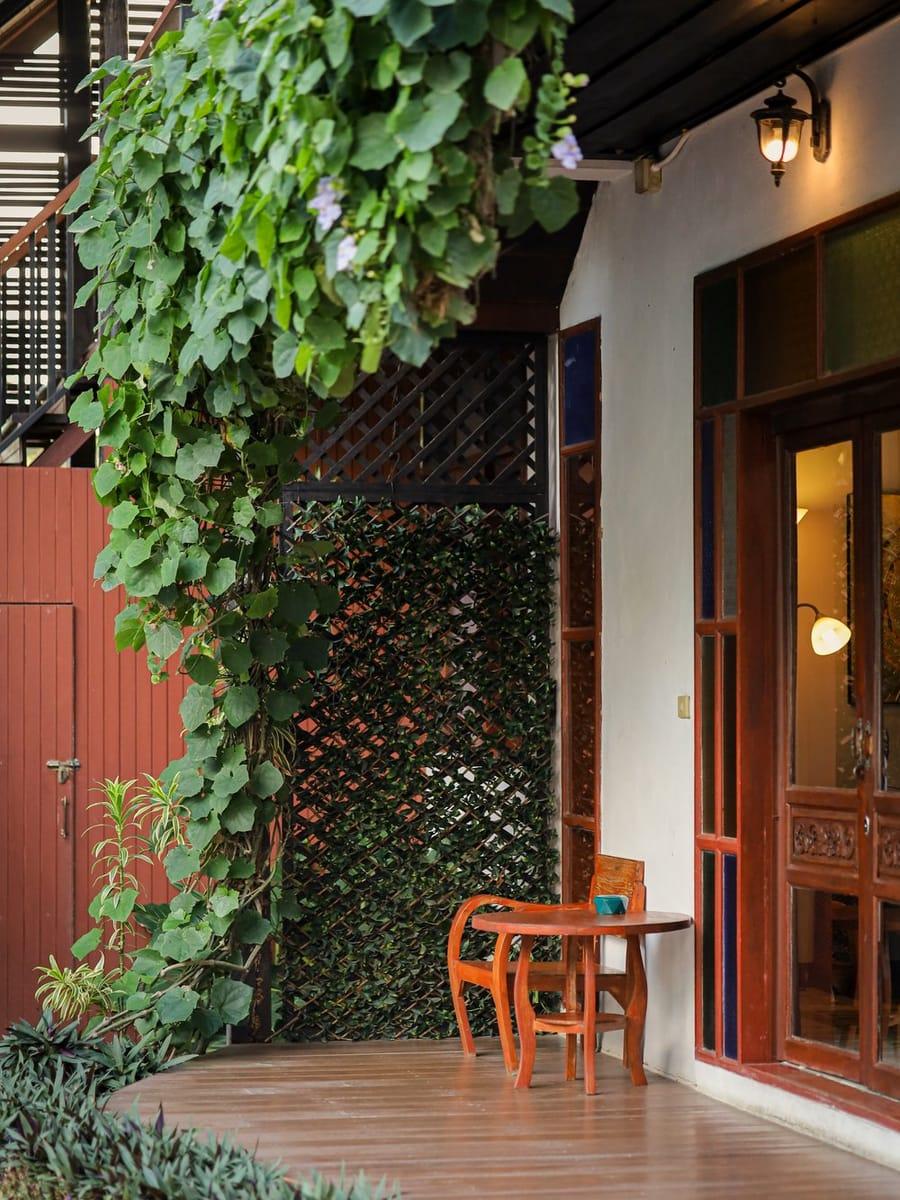 Quiet vine-draped seating corner at Jintara Rehab in Chiang Mai, Thailand