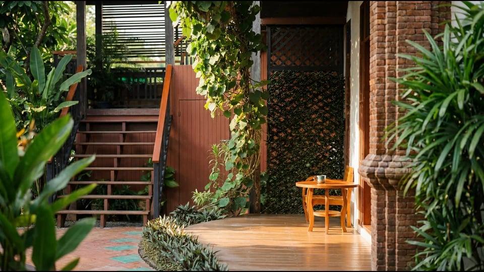 The covered porch at Jintara Rehab in Chiang Mai, early morning light filtering through the vine canopy.