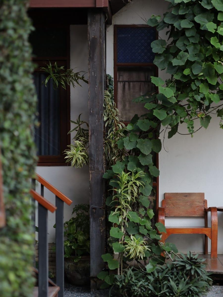 Garden grounds with tropical vines and glass architecture at Jintara Rehab where methadone taper for heroin addiction is administered