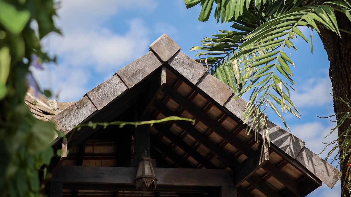 The roof of a garden sala under palm leaves and blue sky at Jintara Rehab in Chiang Mai