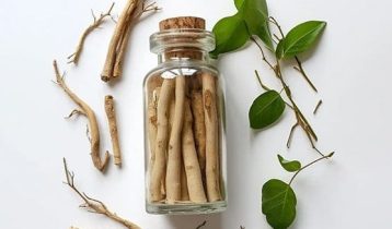 The Risk of Ibogaine Treatment- Balancing Hope and Caution-1